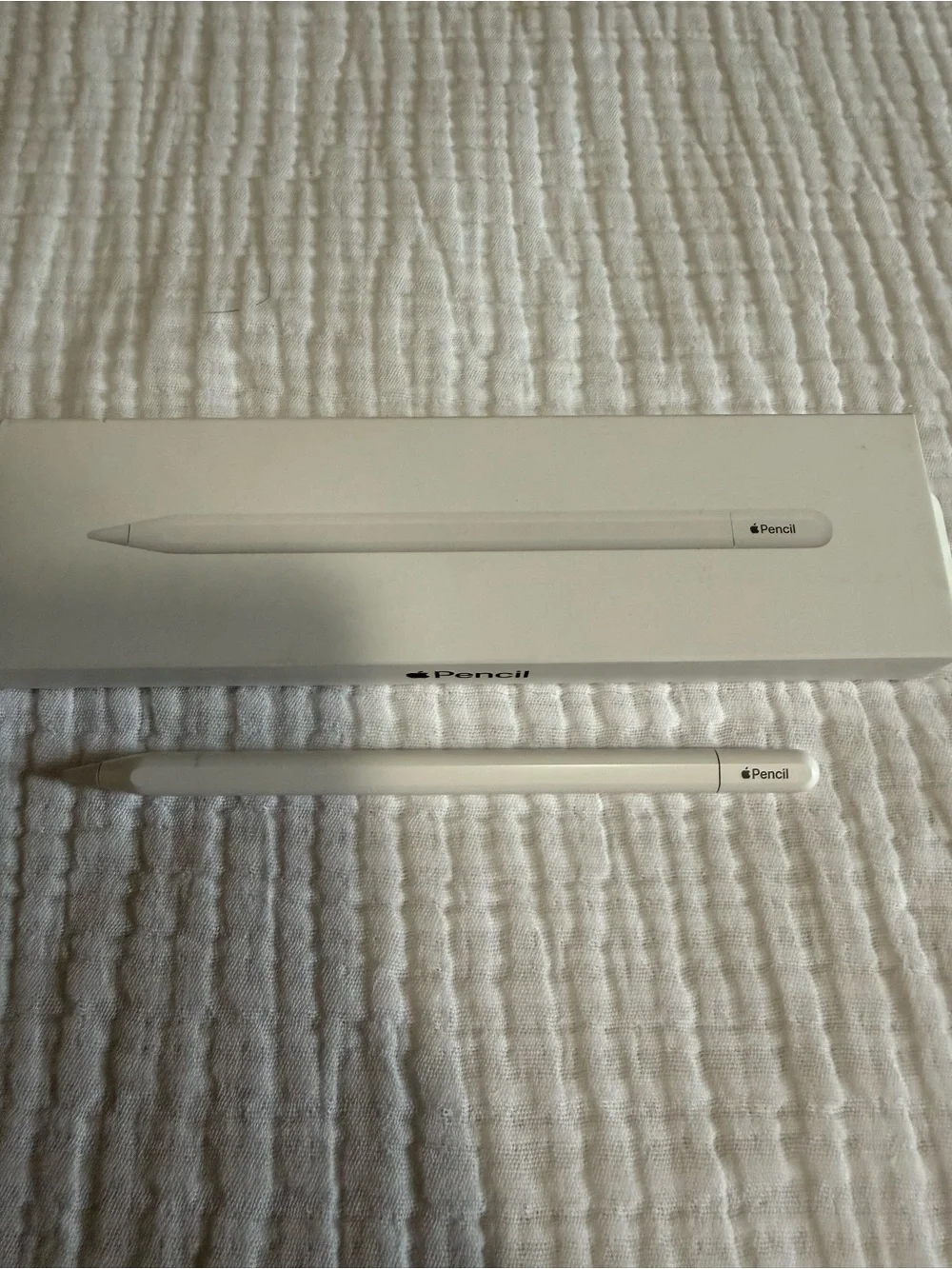 Apple Pencil - White (USB-C) - Picture 5 of 6
